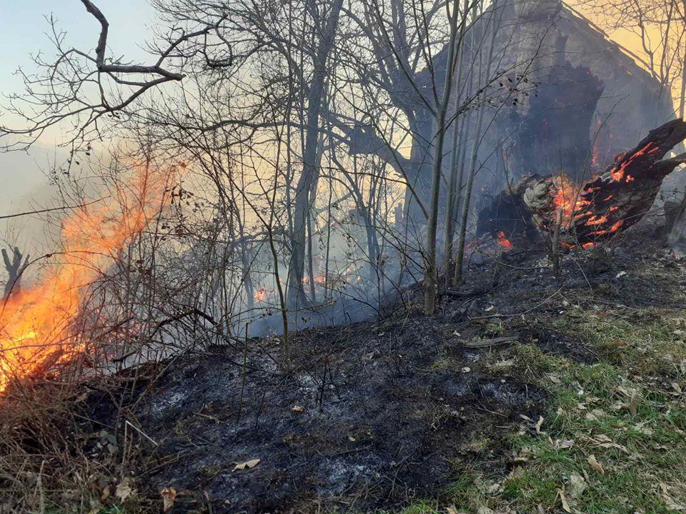 Vatra se brzo širi - Avaz