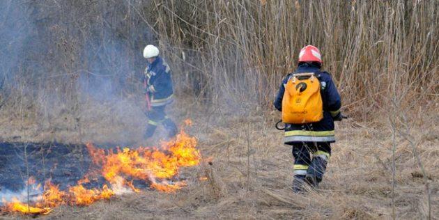 Gori nisko rastinje na izletištu Barice