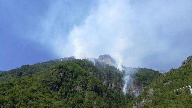 Ne palite vatru u blizini šume - Avaz