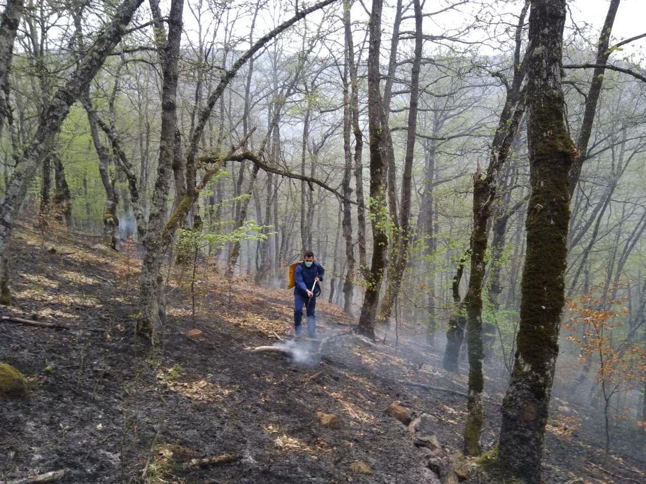 Gašenju je pomogla i kiša koja je počela padati - Avaz