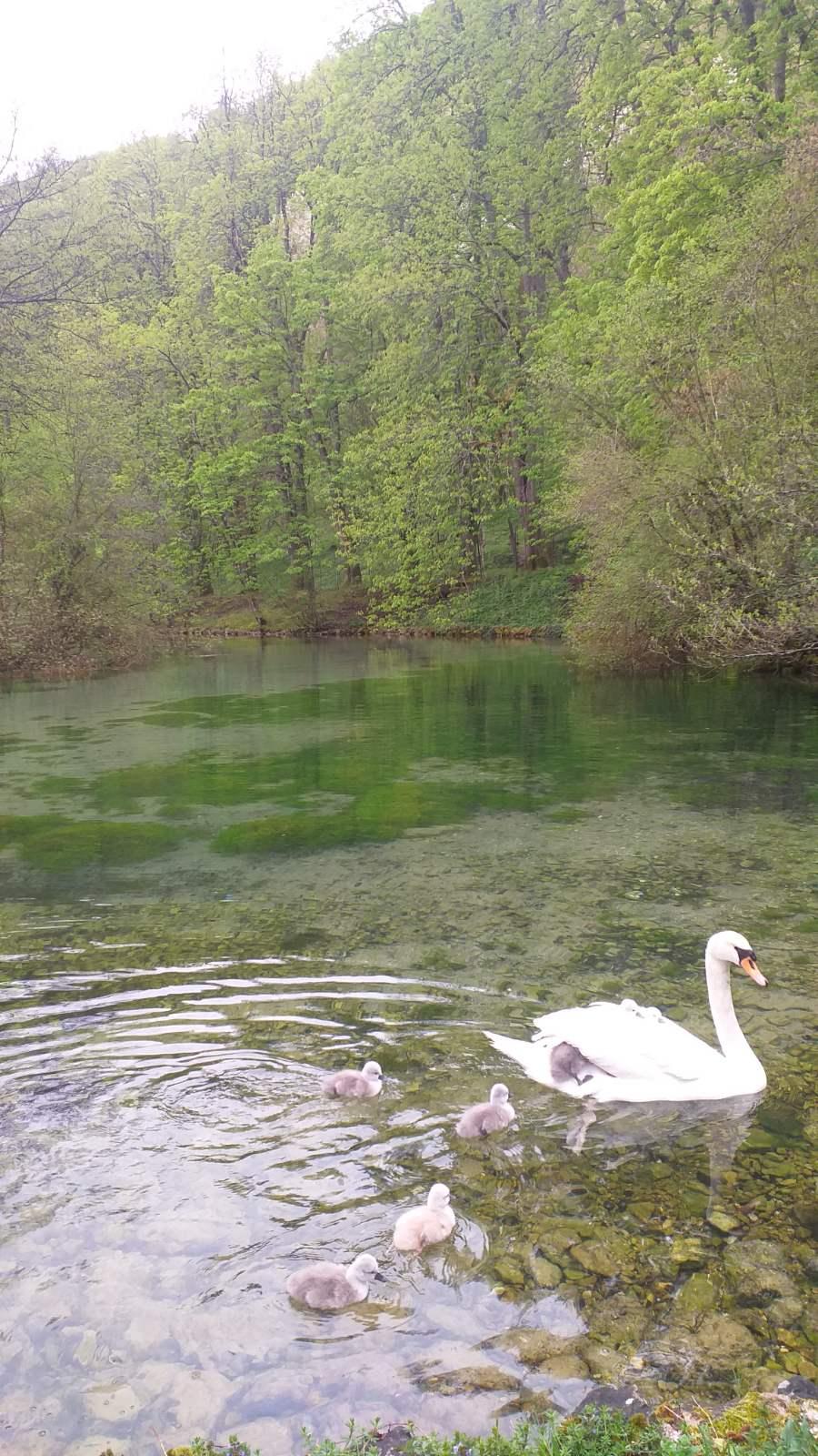 Prinove na popularnom izletištu - Avaz