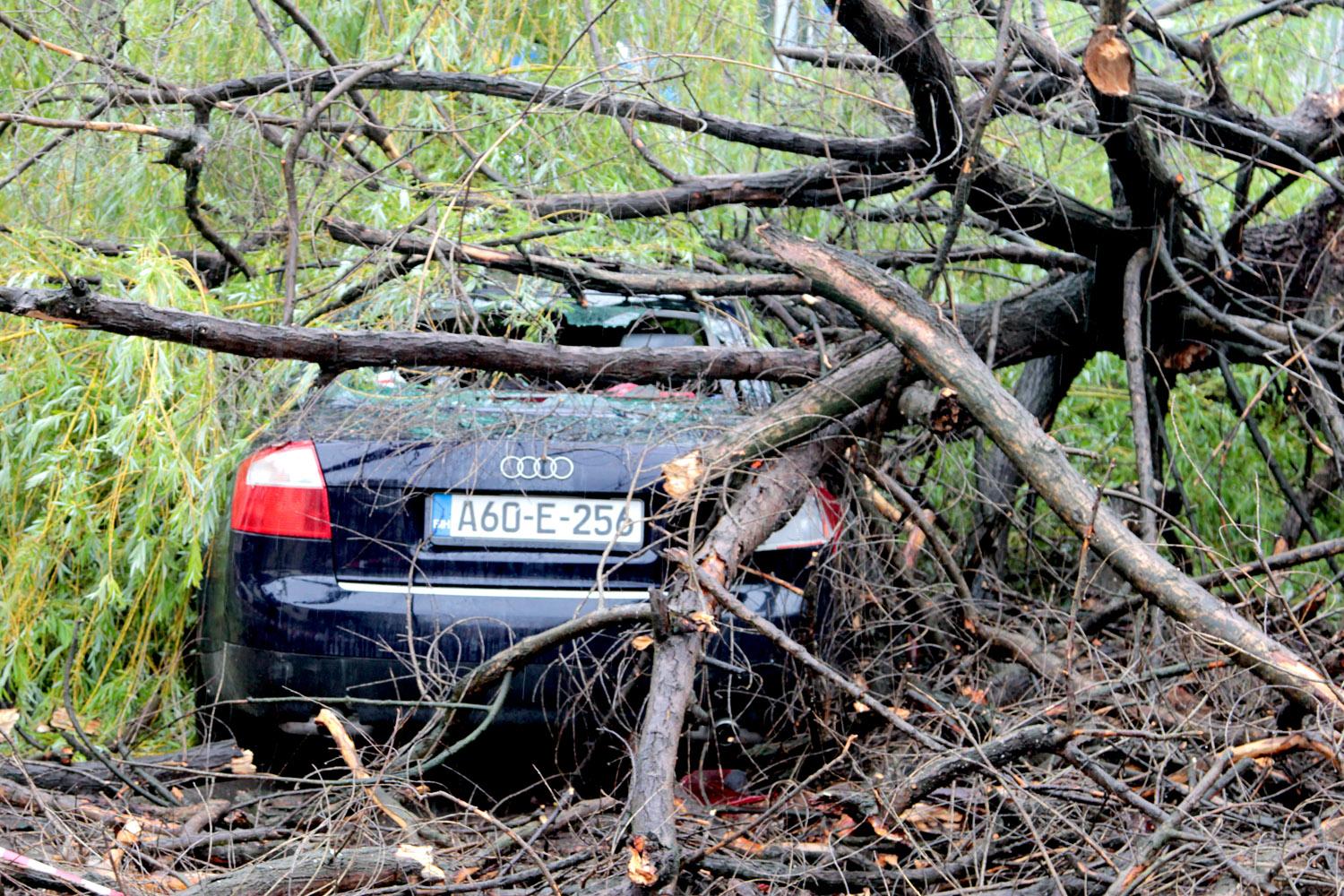 Nevrijeme u Tuzli: Stabla padala na automobile