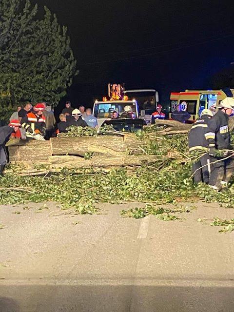 Jak vjetar pogodio Zagreb - Avaz