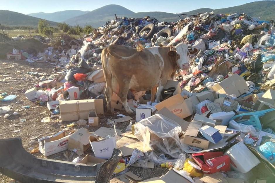 Divlja deponija guši Zaglavicu, mještani u strahu od zaraze