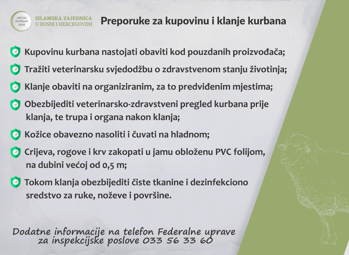 Preporuke za kupovinu i klanje kurbana - Avaz