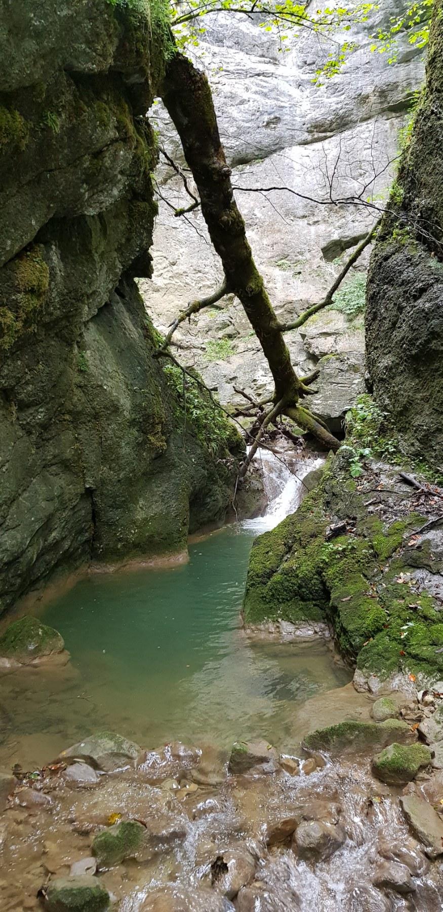 Ekshumacija na lokalitetu Duboki Potok, pomaže i alpinistički tim SIPA-e