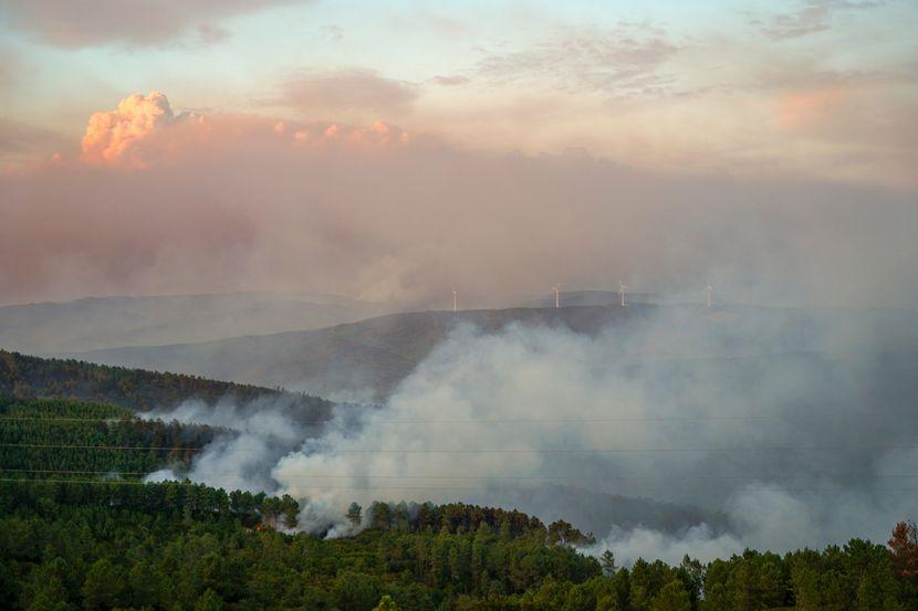 Crna Gora gori: Za dva dana izbilo čak 56 požara