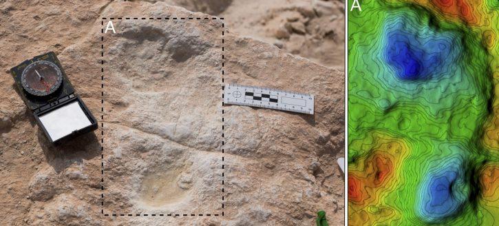 U Saudijskoj Arabiji pronađeni tragovi stopala stari 120.000 godina
