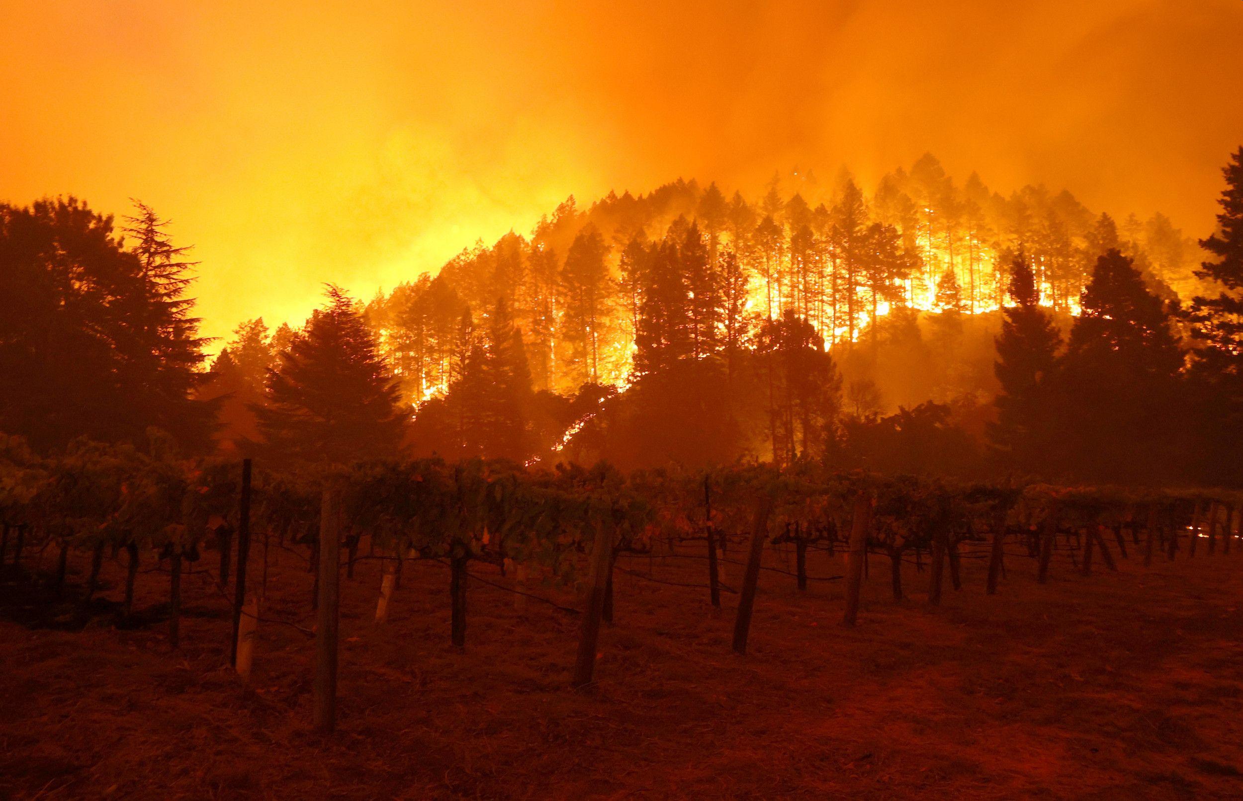 Novi požari u Kaliforniji, mnoga domaćinstva evakuirana