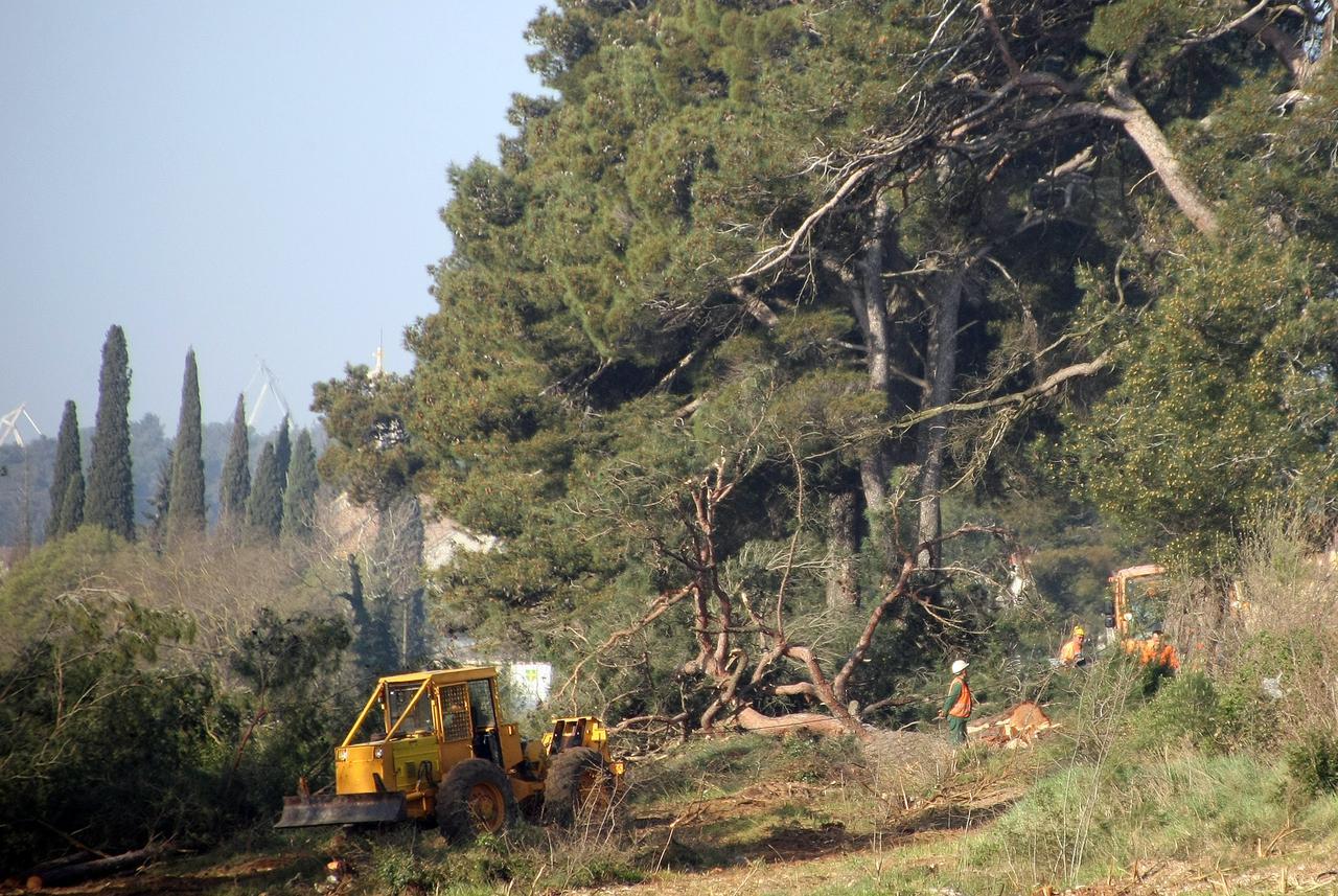 Smrtno stradao radnik "Šumarstva Prenj"