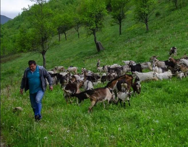 Tadija Radoš: Kažu mi da se ne igram, da će me neko kolcem ubiti - Avaz