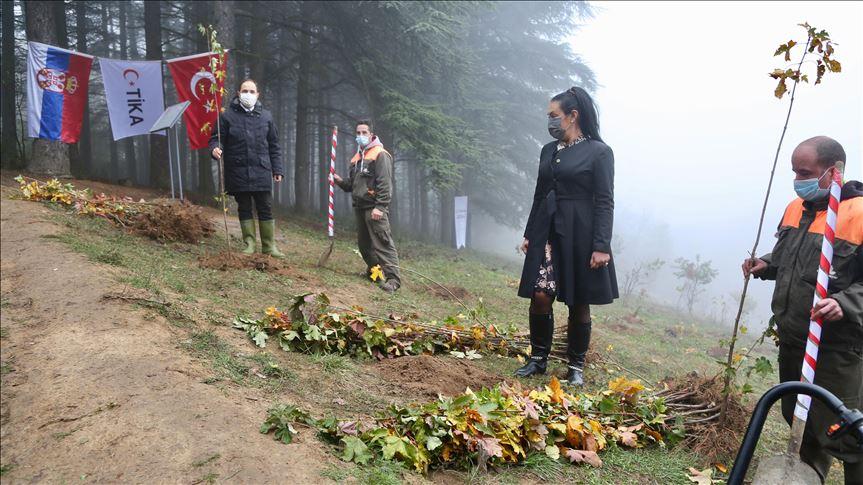 Zasađene sadnice sa željom da Turska i Srbija ostave zdravo okruženje budućim generacijama