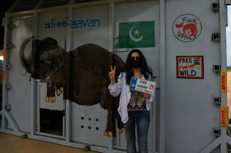 World's loneliest elephant' lands in Cambodia