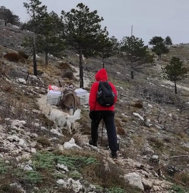 “Ministri” su pouzdani i vrijedni - Avaz