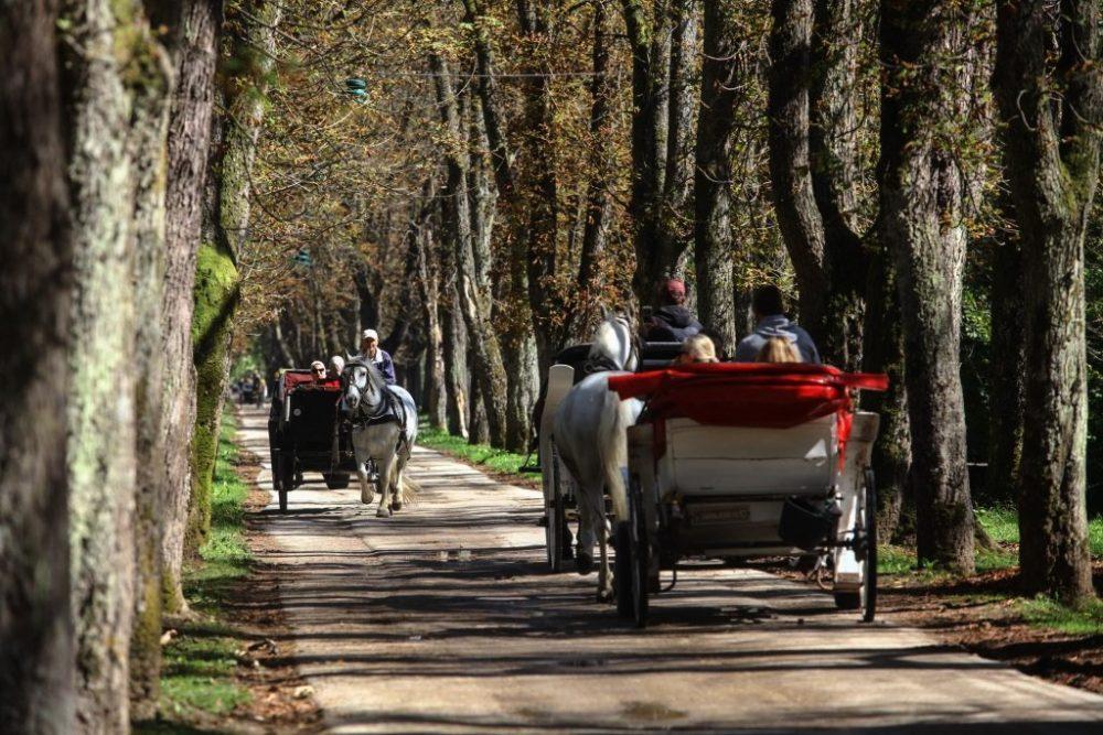 Kviz aplikacija o ljepotama Ilidže