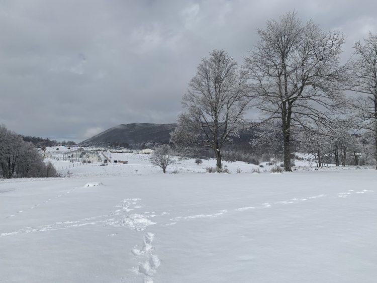 Ostali zaglavljeni u snježnom nanosu - Avaz