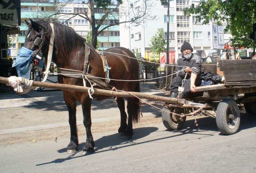 Šerif Seferović ljetos sa konjem - Avaz