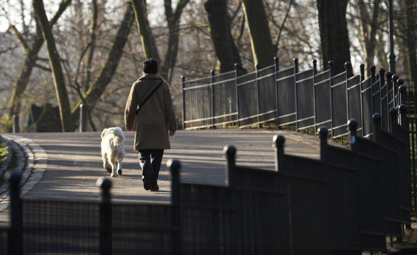 Germany to extend coronavirus lockdown until March 28: draft