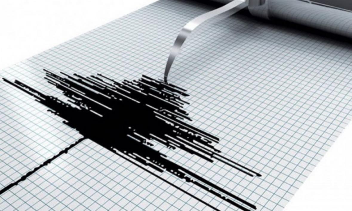 Powerful earthquake triggers tsunami warning in N.Zealand