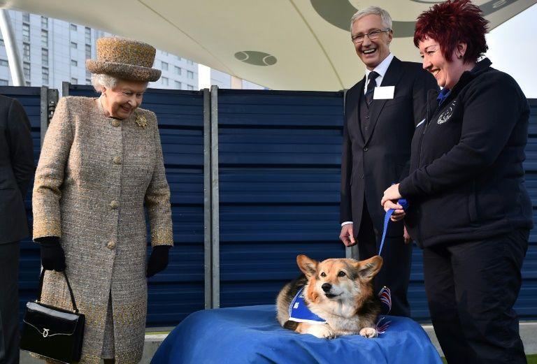 During tough times, dogs save the Queen