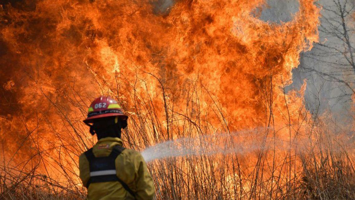 The fires, which authorities suspect were started deliberately early this week, have reached several towns near the foothills of the Andes mountains, and have consumed about 1,500 hectares of forest - Avaz