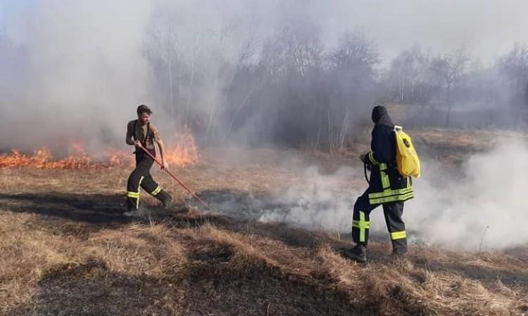 Vatrogasci spasili 40 pasa iz zapaljenog azila