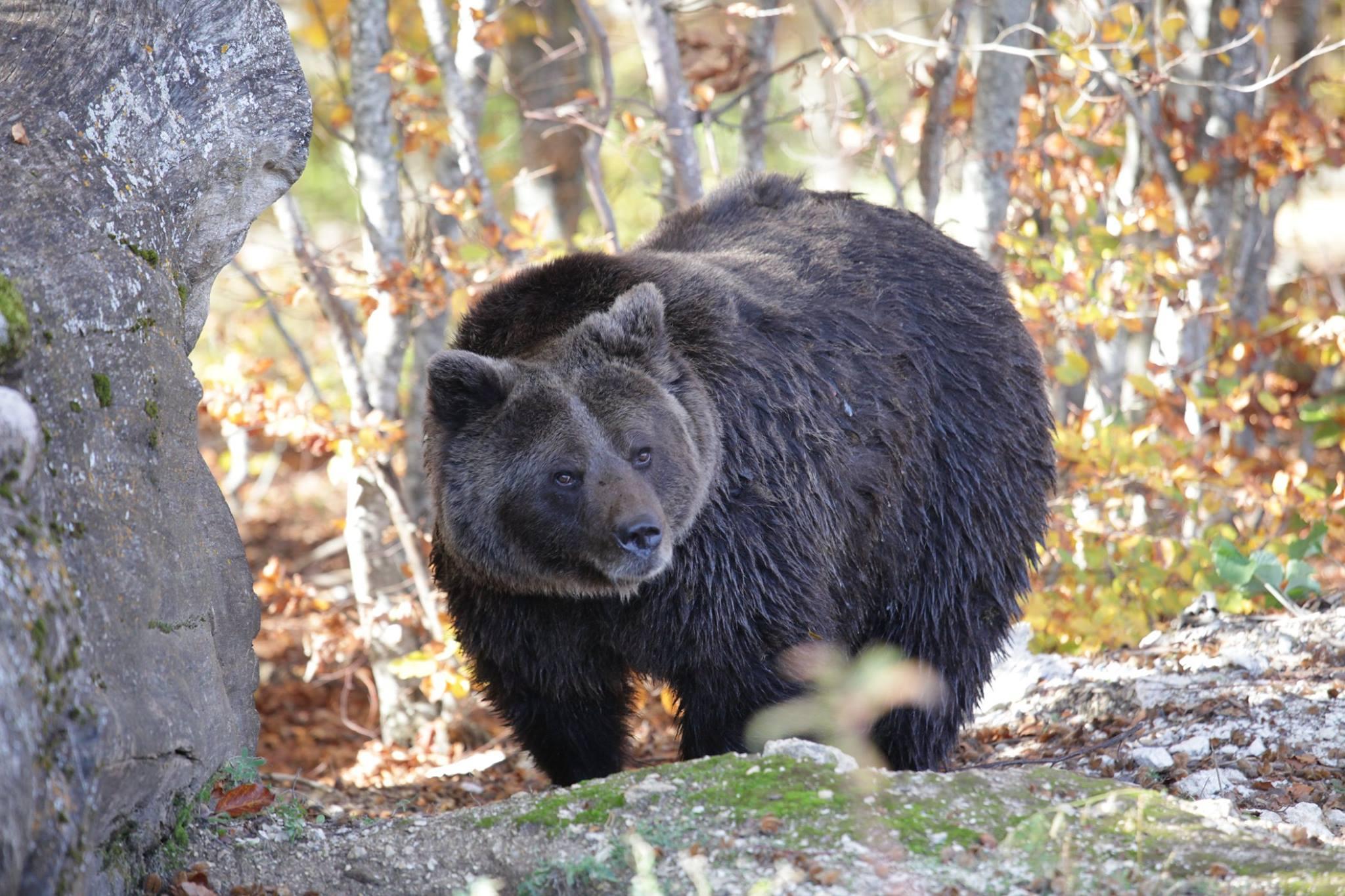 Očuvati ili ponovo uspostaviti povoljno stanje za više od hiljadu ugroženih prirodnih područja