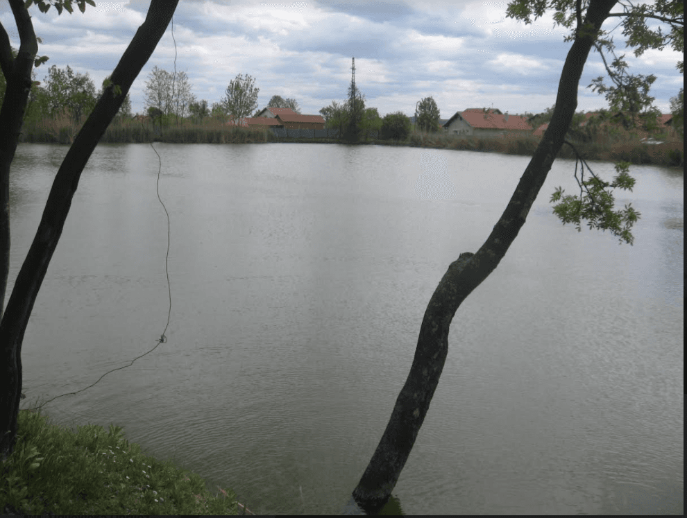 Od bare izgradili porodični ribnjak