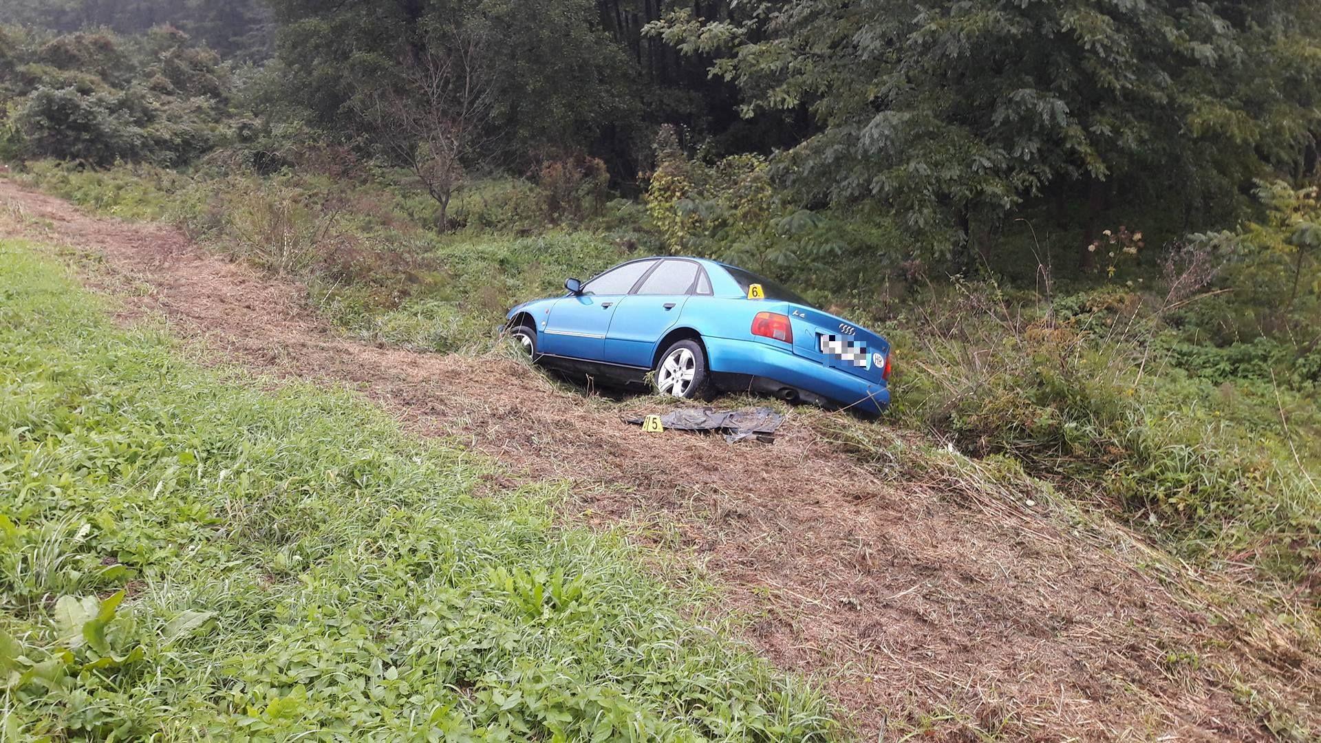 Peugeot završio u kanalu, vozač prošao bez ogrebotine