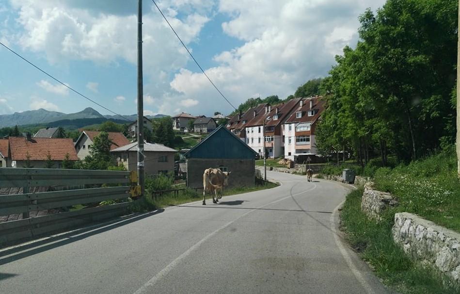 U Kalinoviku se u kafani prati izricanje presude, nema četničke koreografije, samo poneka psovka