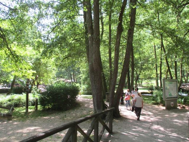 Turisti iz regiona i arapskih zemalja uživaju na Vrelu Bosne