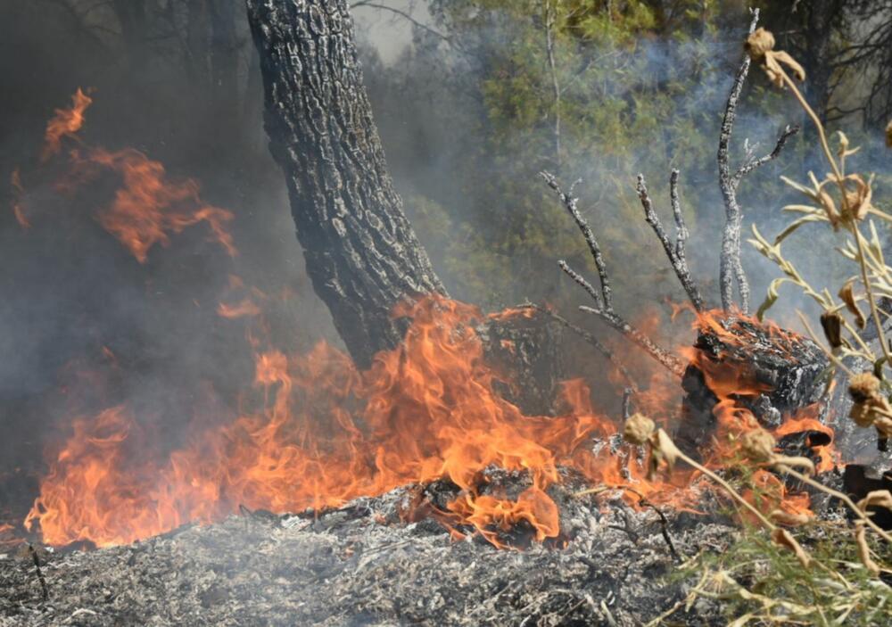 Sve vatrogasne ekipe su na terenu - Avaz