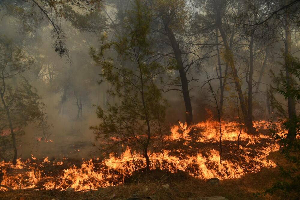 Sve vatrogasne ekipe su na terenu - Avaz