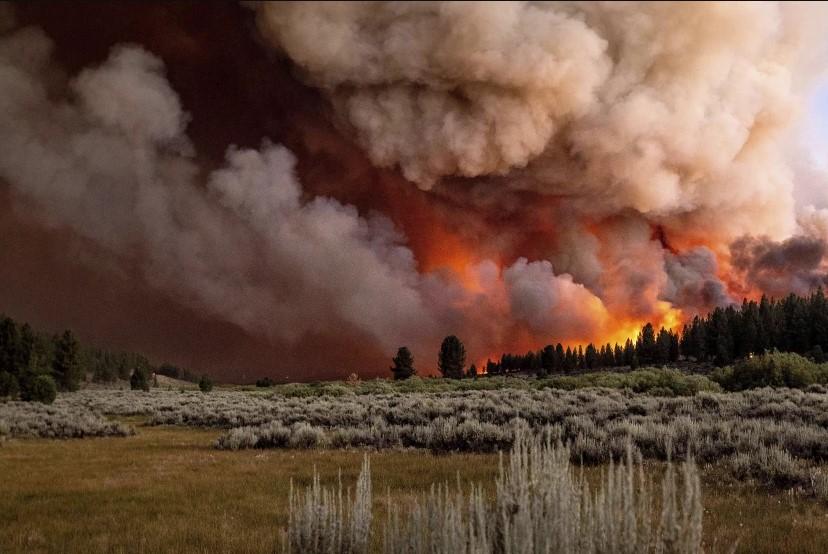 Temperature u Dolini smrti idu do 54 stepena, požari se šire nevjerovatnom brzinom