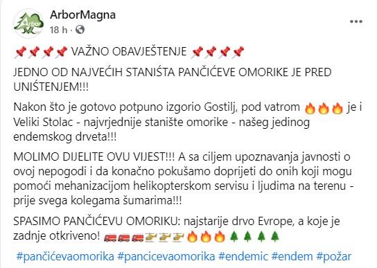 Objava na Facebooku  Arbor Magna - Avaz