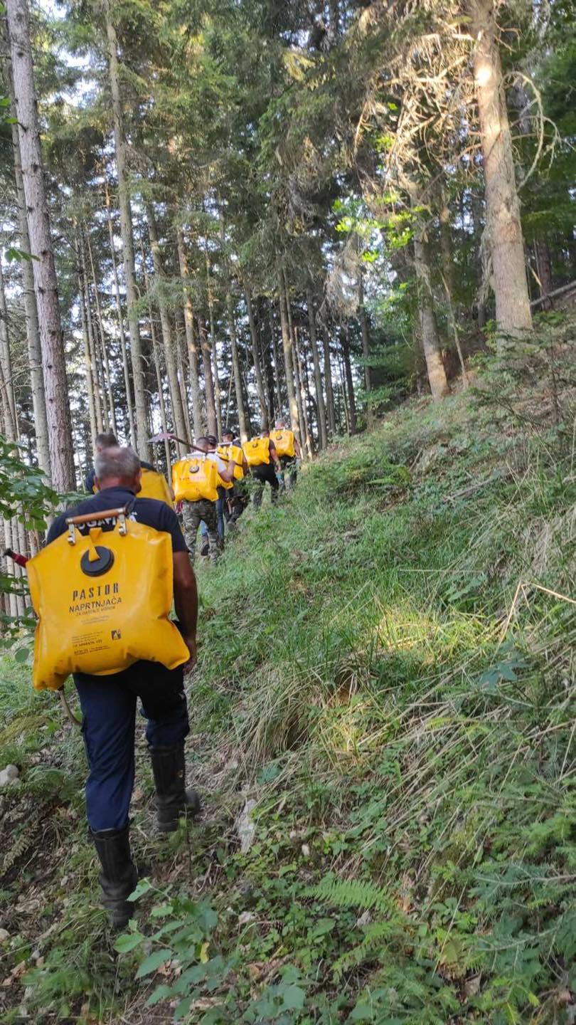 Molimo dijelite ovu vijest, a sa ciljem upoznavanja javnosti o ovoj nepogodi i da konačno pokušamo doprijeti do onih koji mogu pomoći mehanizacijom helikopterskom servisu i ljudima na terenu - prije svega kolegama šumarima.  Spasimo Pančićevu omoriku najstarije drvo Evrope, a koje je zadnje otkrivenom – stoji u objavi. - Avaz