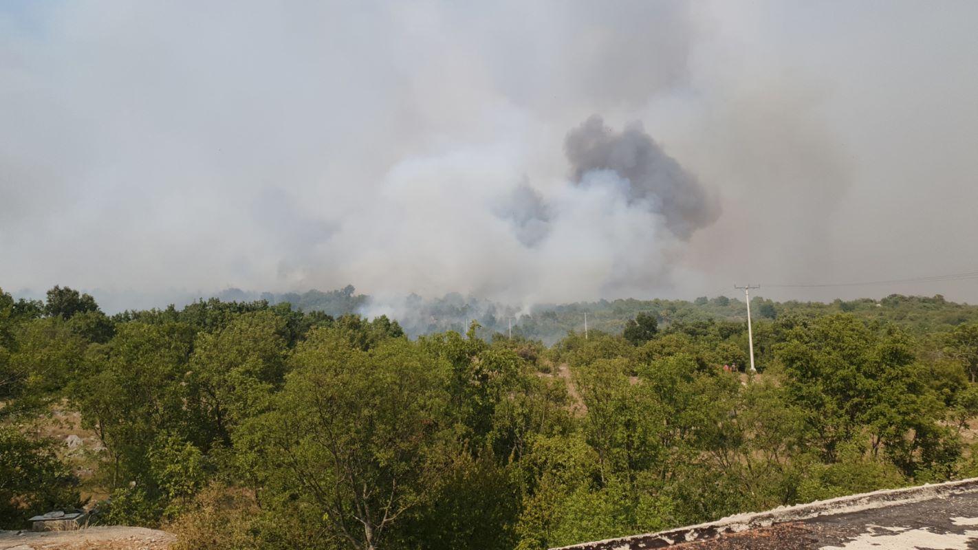 Požar u Ljubinju pod kontrolom