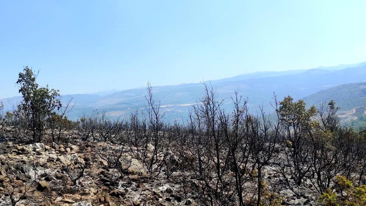 I dalje aktivni požari u Čapljini, Stocu i Jablanici