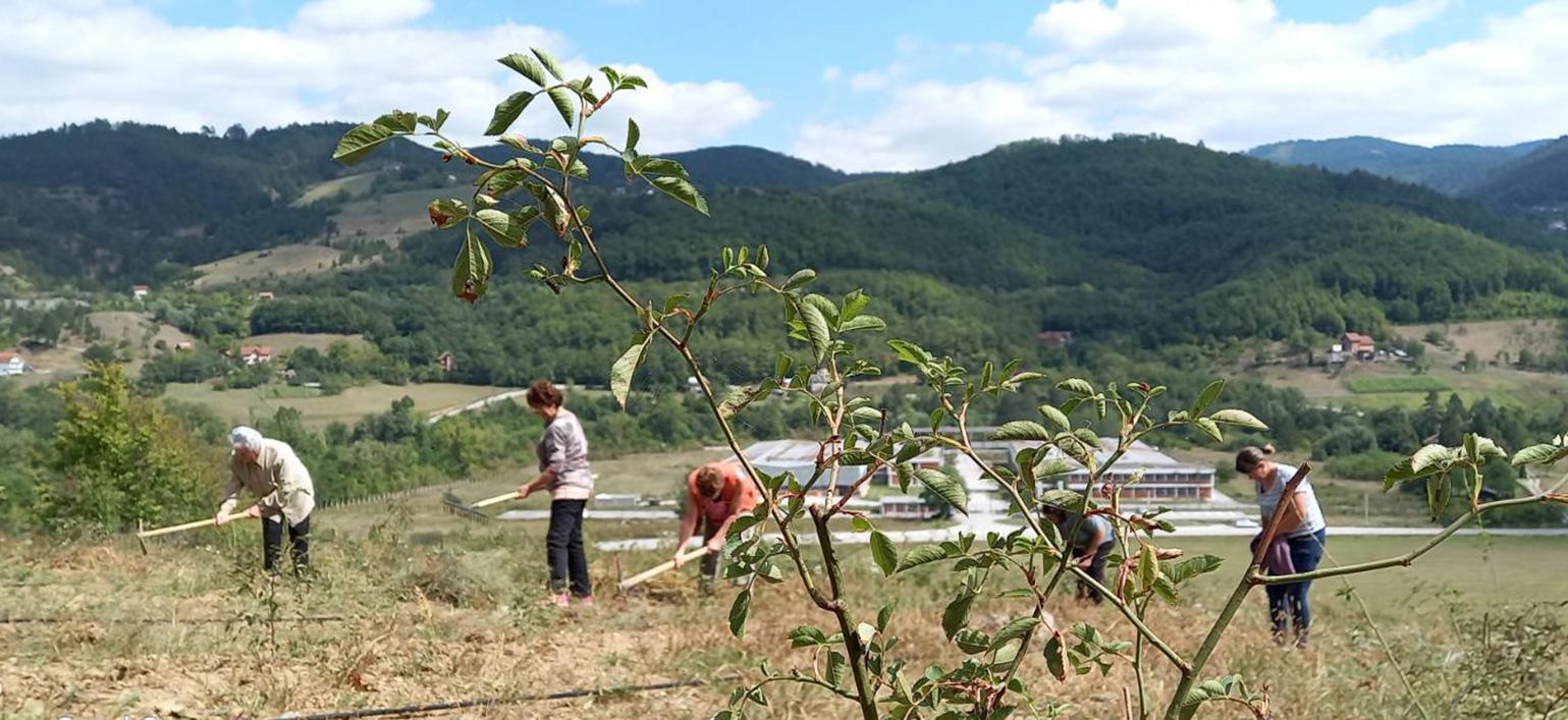 Članice Poljoprivredne zadruge: Značajan projekt - Avaz