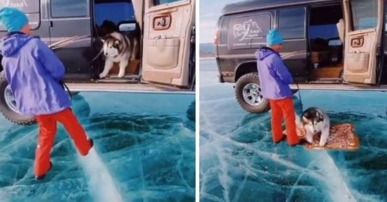 Pas je mislio da je led zapravo tekućina, njegova reakcija oduševila mnoge