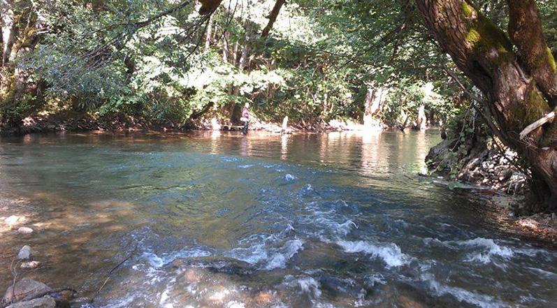 Masovno uginuće ribe na ušću Prače i Rakitnice kod Rogatice