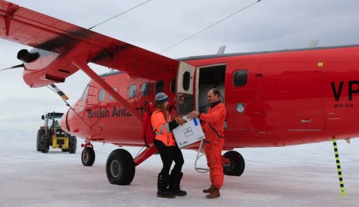 Pošiljka je stigla posebnim avionom - Avaz