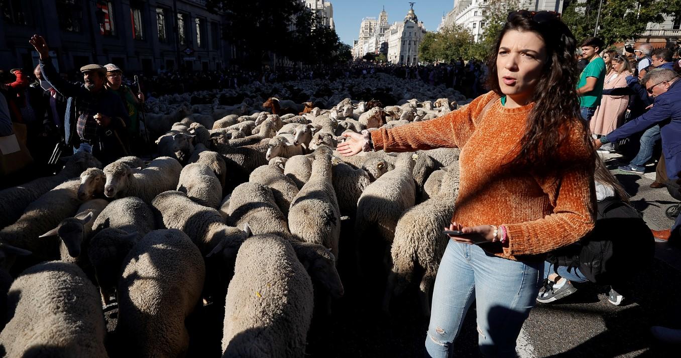 Fotografija iz Madrida - Avaz