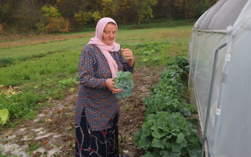 Srebrenička majka Saliha Osmanović dane samoće provodi radeći na njivi i plasteniku