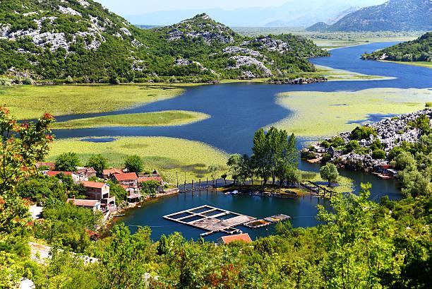 Skadarsko jezero - Avaz