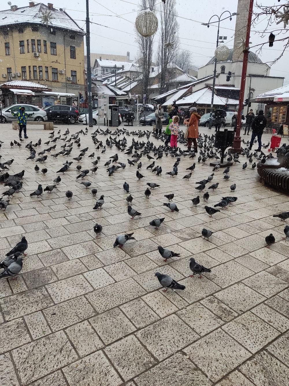 Obišli smo ulice Sarajeva: Pogledajte šta smo zabilježili