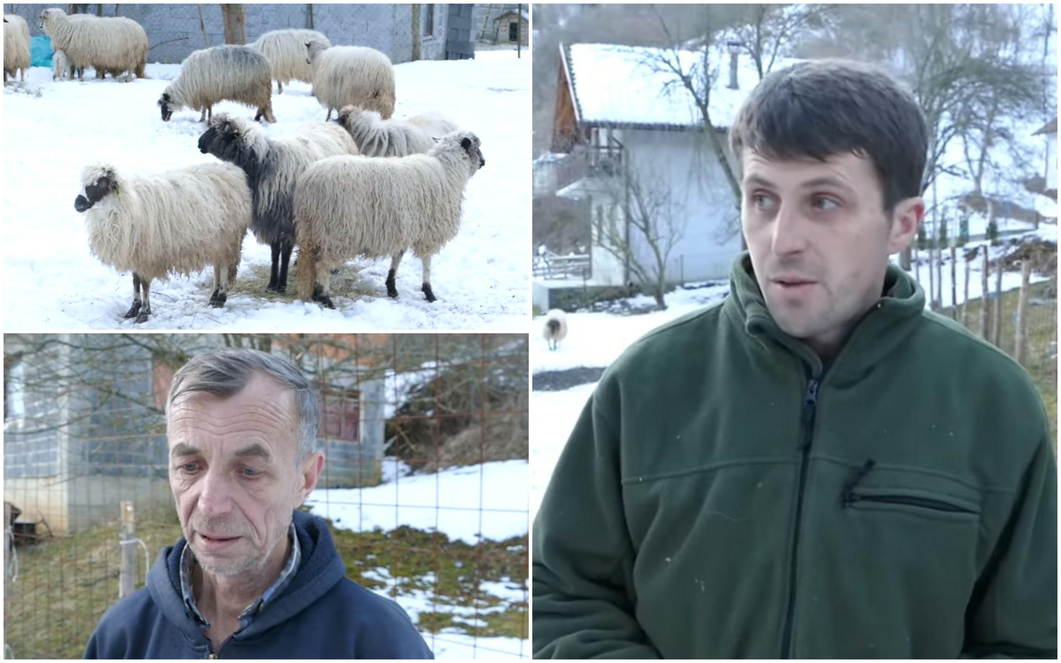 Nečije malo nekome znači mnogo: Husein Dogan ostao bez stada ovaca, dobri ljudi mu donirali druge