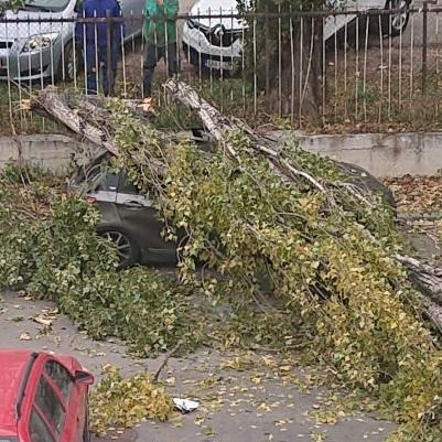 Jak vjetar pravi probleme i vlasnicima vozila koji parkiraju na otvorenom - Avaz