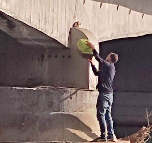 Uspjelo se izvući na jedan od betonskih stubova i tu je prenoćilo - Avaz