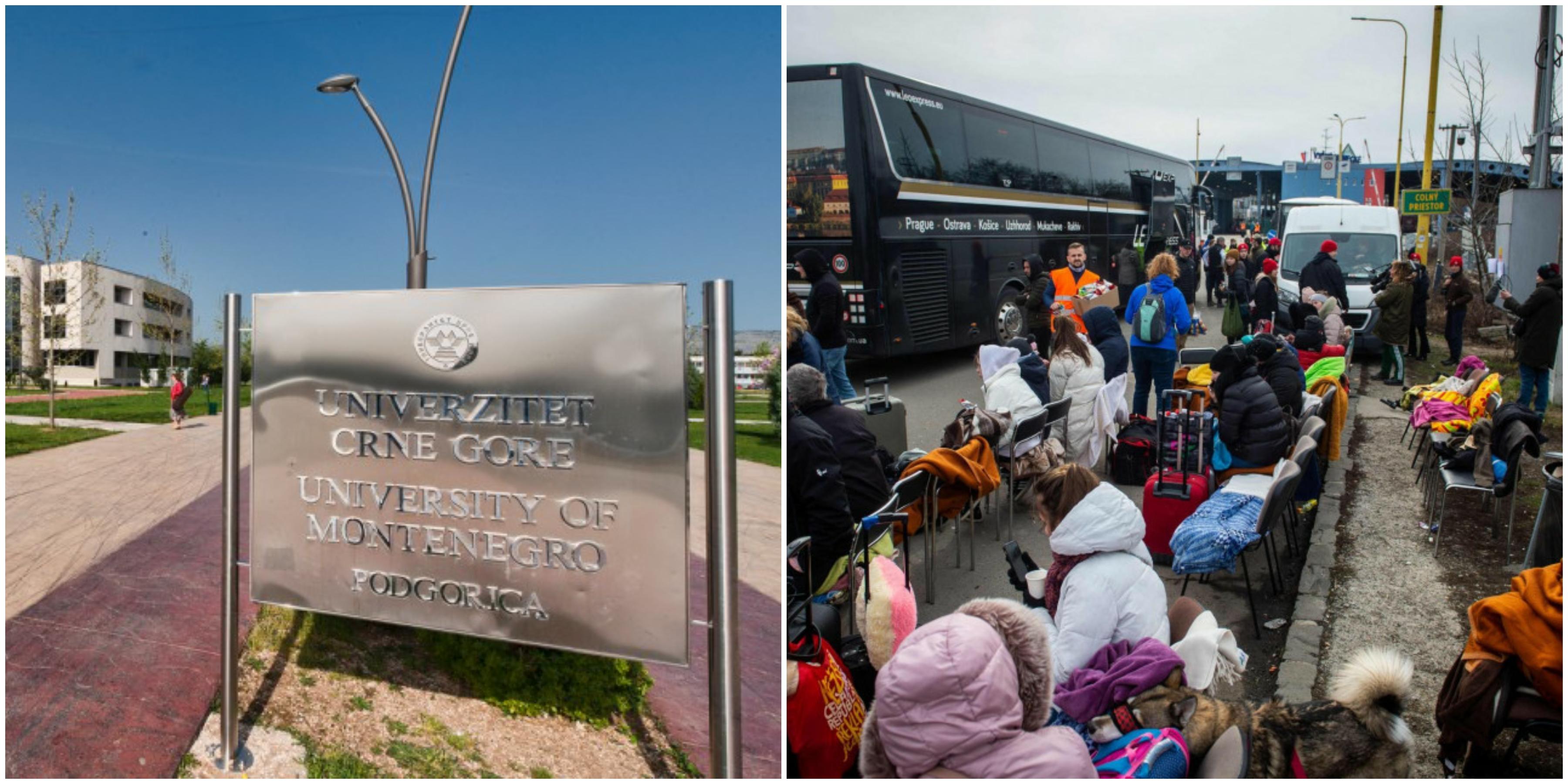 Univerzitet Crne Gore: Osuđujemo sve pokušaje dehumanizacije ukrajinskog naroda